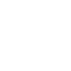 phone-icon