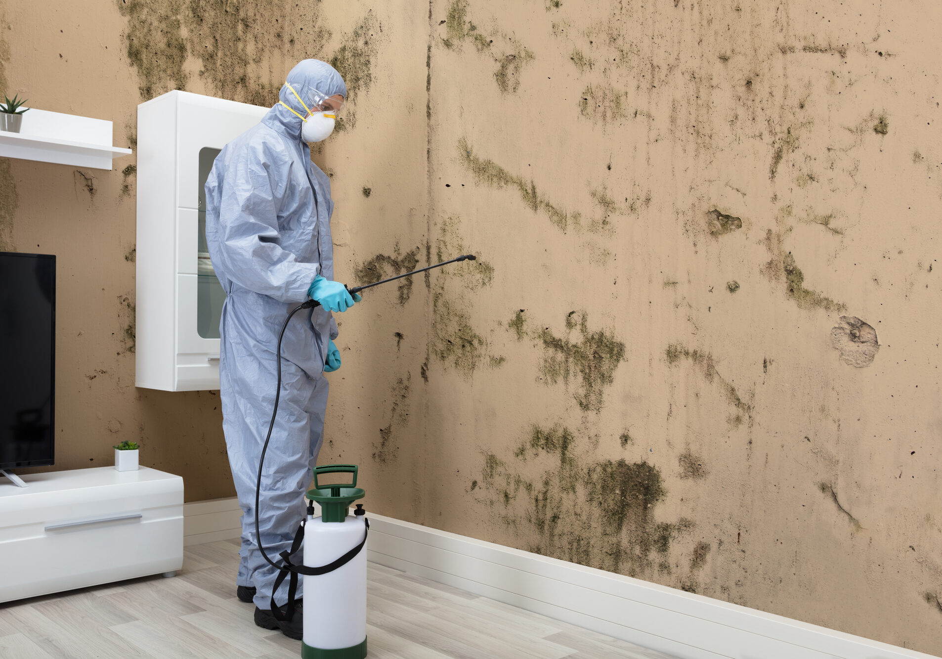 Mold Remediation
